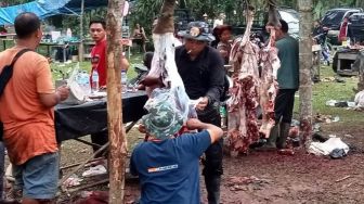 Keunikan Tradisi Bantai Adat Jelang Ramadhan di Jambi, Ratusan Kerbau Disembelih