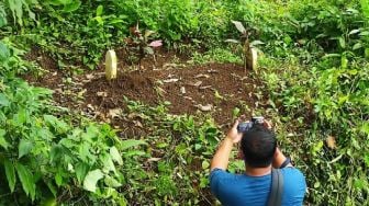 Makam Misterius di Tengah Hutan Lebakjabung Gegerkan Warga Mojokerto