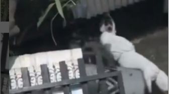 Viral Video Pocong Kejedot Asbes Saat Bangunkan Sahur, Warganet: Bisa Jadi Beneran