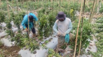 Kebun Diterjang Banjir Bandang Campur Sampah, Petani di Bandung Barat Gigit Jari