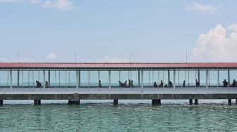 Syarat dan Jadwal Terbaru Keberangkatan Feri Domestik di Pelabuhan Sekupang
