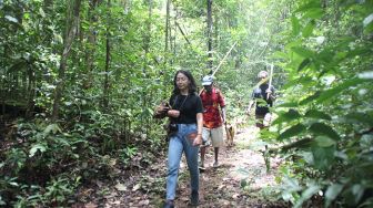 AMAN Nilai Penetapan Hutan Adat Terhambat karena Birokrasi dan Administrasi