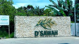 Restoran D'Sawah, Sensasi Makan dan Bersantai di Pinggir Sawah