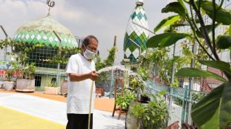 Pengurus merawat tanaman anggur di rooftop Masjid Hubbul Wathon, Cempaka Putih, Jakarta Pusat, Selasa (5/4/2022). [Suara.com/Alfian Winanto]