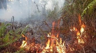 Belum Sepekan, 2 Karhutla Sudah Terjadi di Riau, Kabut Asap Mengintai?