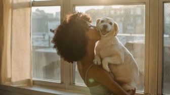 5 Tips Melatih Anak Anjing Tinggal di Apartemen