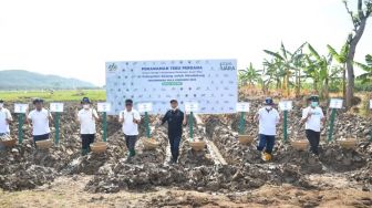 Optimalkan Lahan, PTPN Group Siap Wujudkan Swasembada Gula