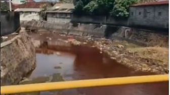 Sungai di Denpasar Berwarna Merah Pekat Kadang Hijau, Diduga Ulah Pengusaha Sablon