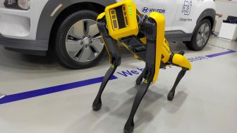 Kembangkan Robotika dan Software Mobil Swakemudi, Hyundai Tanam Investasi Rp 73 Triliun
