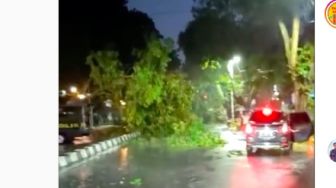 Setelah Palembang Diguyur Hujan hingga Pohon Besar Tumbang di Jalan Merdeka, BMKG Ingatkan Prakirakan Cuaca Hari Ini