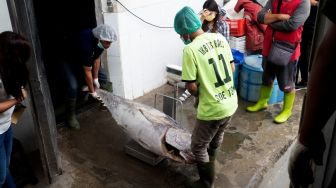 LPEI Gandeng Sarinah Ekspor Perdana Ikan Tuna ke Vietnam