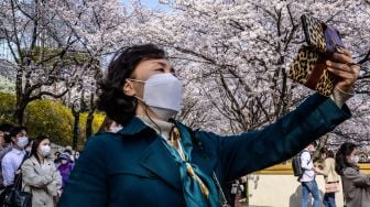 Seorang wanita berswafoto di bawah pohon sakurayang bermekaran di Seoul, Korea Selatan, Rabu (6/4/2022). [ANTHONY WALLACE / AFP]
