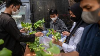 Remaja dari Panti Sosial Bina Remaja (PSBR) Taruna Jaya 1 mengemas sayuran pakcoy hidroponik di halaman belakang PSBR Taruna Jaya 1, Tebet, Jakarta, Jumat (8/4/2022). [ANTARA FOTO/Aprillio Akbar/foc]