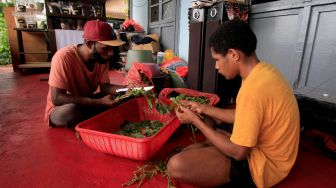 Pekerja mengolah sayur bayam untuk dijadikan produk makanan di Sekolah Pengarangan, Imbi, Jayapura, Papua, Jumat (8/4/2022). [ANTARA FOTO/Gusti Tanati/app/wsj]