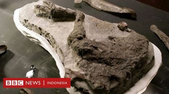Fosil Dinosaurus yang Mati Kena Asteroid 66 Juta Tahun Lalu Ditemukan