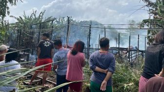 Korsleting Listrik, Satu Kandang Ayam Ludes Terbakar di Desa Arang Limbung