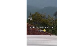 Tak Terima Anaknya Ditendang, Aksi Ibu Cari Pelaku Lewat Toa Masjid Viral