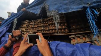 Jual Telur Infertil, Pengusaha Asal Jombang Ditetapkan Tersangka