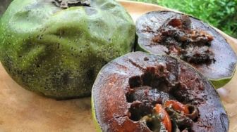 4 Manfaat Buah Black Sapote bagi Kesehatan Tubuh, Salah Satunya Atasi Sembelit