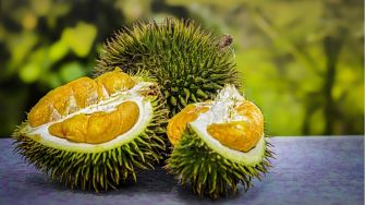 Kandungan dan Manfaat Buah Durian yang Harus Kamu Ketahui!