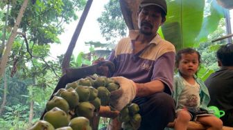 Selama Ramadhan Tahun Ini, Petani Kolang Kaling di Bandung Barat Panen Cuan