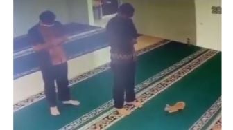 Viral Aksi Kucing Ganggu Pria Salat di Masjid Bikin Buyar: Warganet: Melebihi Setan