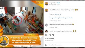 Viral! Monyet Masuk Toko dan Serang Warga di Kutim: Mucil Dia Itu