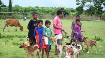 Jelang MotoCross MXGP di Sumbawa, Pemerintah Perketat Pengendalian Anjing Rabies