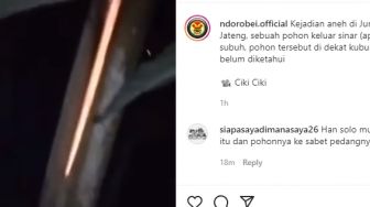 Viral Kejadian Aneh Pohon Dekat Kuburan Batangnya Bersinar Keluarkan Api, Netizen: Pertanda THR Segera Turun