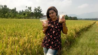 Menjelang Lebaran, Wanita Cantik Asal Wonogiri Banjir Pesanan Kacang Mete, Dikirim Sampai Luar Jawa