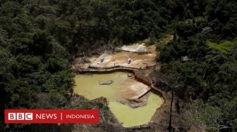 Serangan Rusia ke Ukraina Timbulkan Ancaman terhadap Masyarakat Adat Brasil