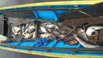 Diduga karena Limbah Sawit, Ribuan Ikan di Sungai Retok Kubu Raya Mati Mengapung, Warga Terindikasi Terdampak Penyakit