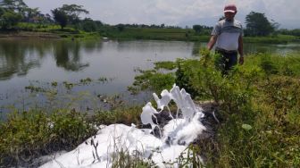 Limbah Industri Bikin Populasi Ikan di Sungai Citarum Terancam Punah, Warga Minta Dinas Lingkungan Hidup Bertindak