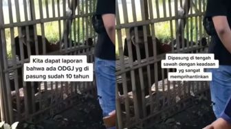 Viral ODGJ Dipasung 10 Tahun di Tengah Sawah karena Suka Bakar Rumah Warga, Kondisinya Menyayat Hati