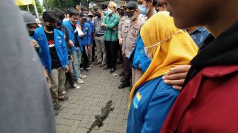 Mahasiswa Pasuruan Demo Bawa Biawak ke DPRD Pasuruan, Protes Pemindahan Ibu Kota