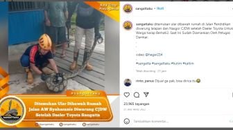 Geger! Seekor Ular Ditemukan di Bawah Rumah Warga Sangatta Kaltim