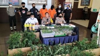 Apartemen di Kawasan Boulevard Jadi Tempat Menanam Ganja, Pakai Sistem Hidroponik