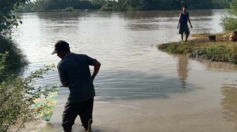 Air Bengawan Solo Berubah Kondisi, Ikan-ikan Pada Teler, Warga Lamongan Serbu Sungai