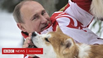 Penggemar Super Misterius Vladimir Putin di Facebook, Apa Misi Mereka?