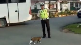 Bantu Kucing Menyeberangi Jalan, Pak Polisi Ini Banjir Pujian dari Warganet