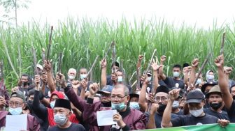 Demi Swasembada Gula, Petani Tebu di Jateng Beri Dukungan ke Ganjar