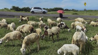 Jalur Pantai Selatan Jawa Sepi Pemudik