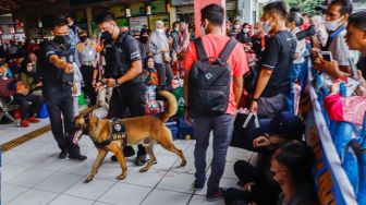 Tim K9 dari BNN melakukan pemeriksaan barang bawaan para pemudik di Terminal Kampung Rambutan, Jakarta Timur, Rabu (27/4/2022). [Suara.com/Alfian Winanto]