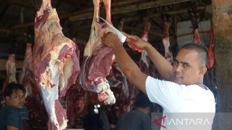 Persediaan Hewan Ternak Jelang Meugang dan Lebaran di Aceh Utara Mencapai 2.628 Ekor