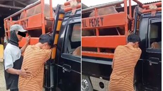 Viral Video Pemuda Nangis Terisak saat Sapi Peliharaannya Hendak Dijual, Warganet Ikut Sedih