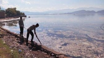 Ribuan Ikan Membusuk dan Belasan Warga Keracunan