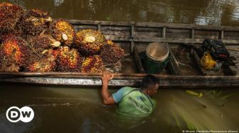 Larangan Ekspor CPO dan Produk Turunannya, Indonesia Rawan Digugat di WTO