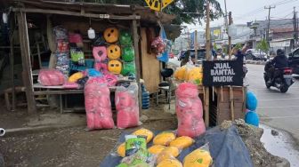 Bantal Mudik Laris Manis di Jalur Karawang, Penjual Untung Rp200 Ribu Sehari