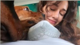 Menggemaskan! Aktris Bollywood Disha Patani Berbagi Foto dengan Anjing Peliharaannya