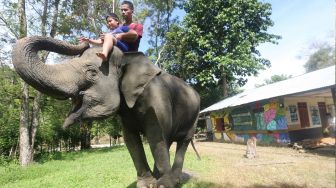 Wisata sambil Edukasi tentang Konservasi Gajah Sumatera di Aceh